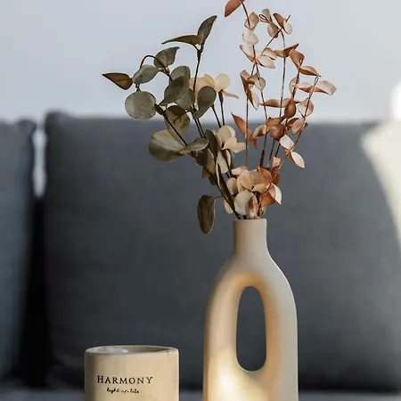 Lubliniecka Z Pięknym Widokiem Na Radiostację Gliwice