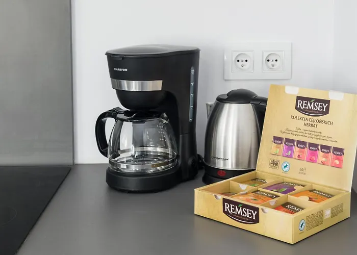 Lubliniecka Z Pieknym Widokiem Na Radiostacje גליביצ'ה